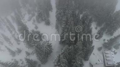 在一场大雪中，无人机飞过树林中的一条小路，飞过房子